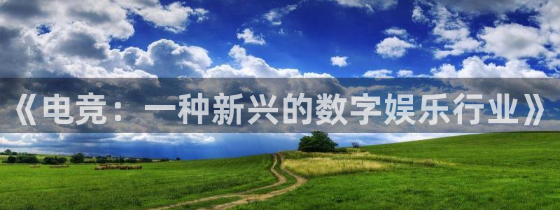 南宫电竞官网：《电竞：一种新兴的数字娱乐行业》