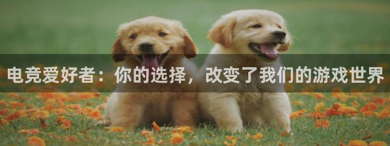 南宫电竞登陆：电竞爱好者：你的选择，改变了我们的游戏世界
