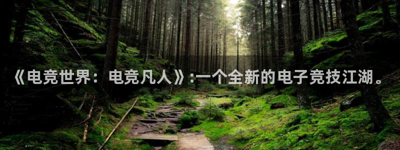 南宫电竞平台：《电竞世界：电竞凡人》:一个全新的电子竞技江湖。