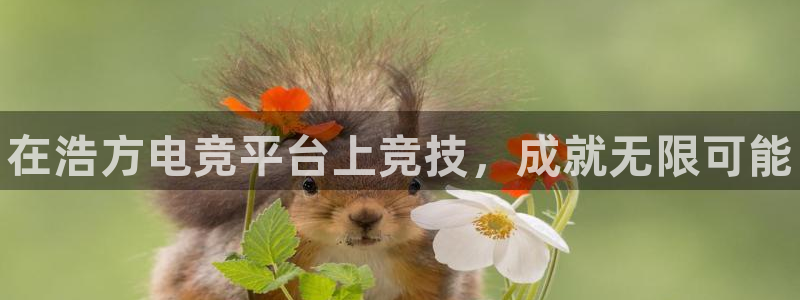 南宫电竞官网：在浩方电竞平台上竞技，成就无限可能