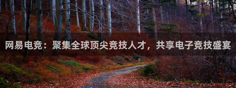 南宫电竞官网：网易电竞：聚集全球顶尖竞技人才，共享电子竞技盛宴