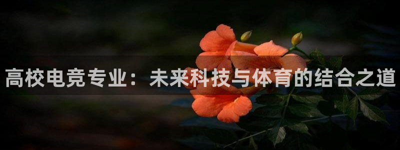 南宫电竞：高校电竞专业：未来科技与体育的结合之道