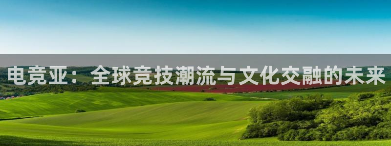 南宫电竞平台：电竞亚：全球竞技潮流与文化交融的未来