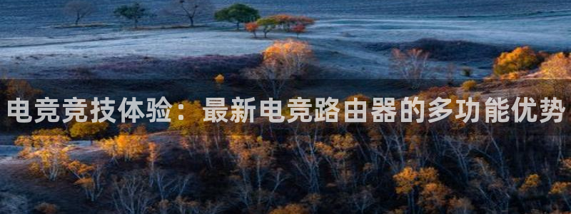 南宫电竞贴吧