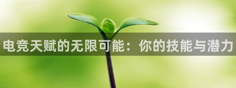 南宫电竞官网