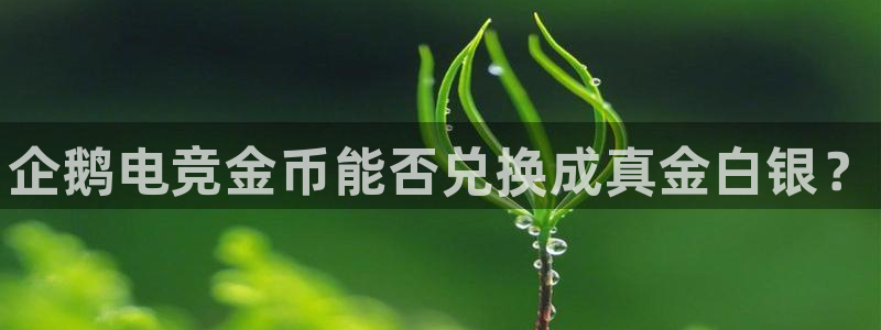 南宫电竞网