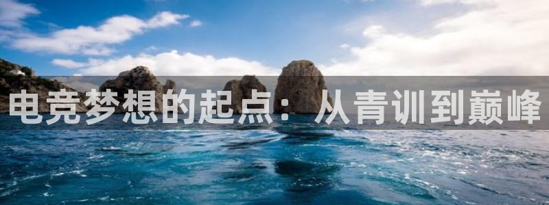 南宫电竞官网