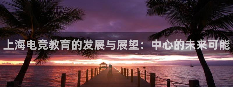 南宫电竞app
