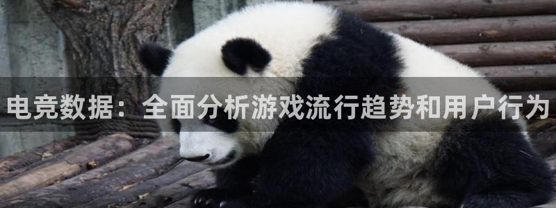 南宫电竞网