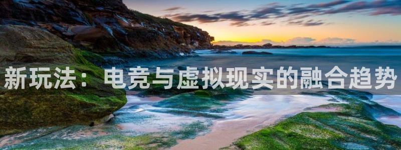 南宫电竞贴吧
