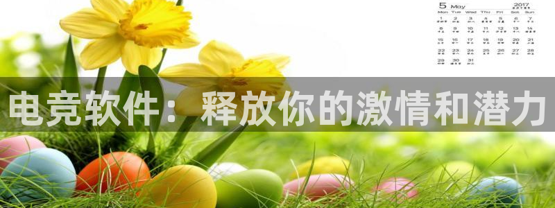 南宫电竞