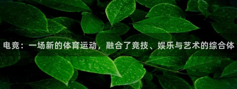 南宫电竞平台