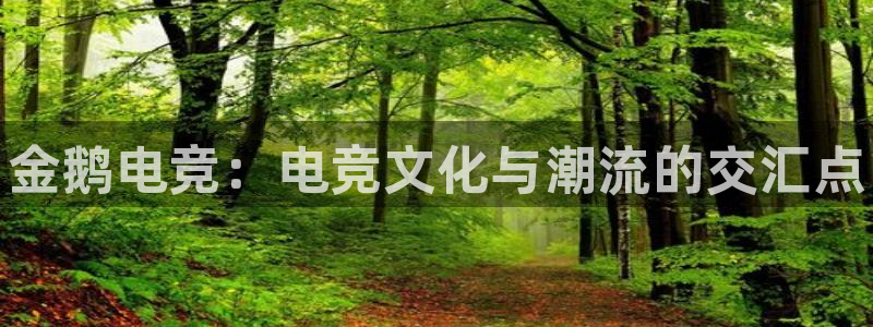 南宫电竞注册