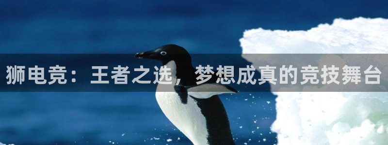 南宫电竞官网