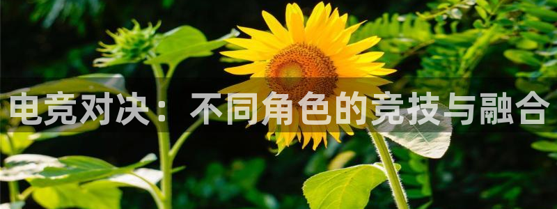 南宫电竞app