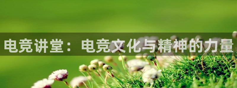 南宫电竞app